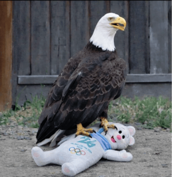 image007-Feb-22-2026-10-14-17-0333-PM